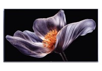 Mi Xiaomi TV S Pro Mini LED 75 2026 75 Inch (191 cm) Smart TV