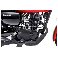 Kawasaki W175 Street Sport Motorcycle