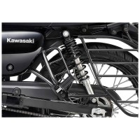 Kawasaki W175 Street Sport Motorcycle