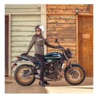 Kawasaki Edition Of Z650RS Sports Sport Motorcycle