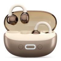 ACwO DwOTS Flow 2 Earphone