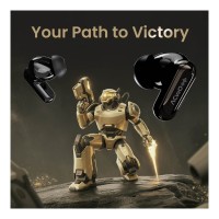 ACwO DwOTS 717 Pro Earphone