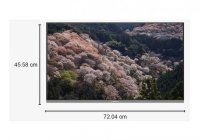 Panasonic TH-43HS700 43 Inch (109.22 cm) Android TV