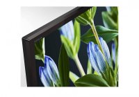 Sony KLV-32R202G 32 Inch (80 cm) LED TV