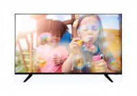 Zebronics Zeb-43P1 43 Inch (109.22 cm) Smart TV