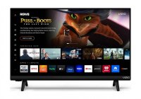 Vizio D24FM-K01 24 Inch (59.80 cm) Smart TV