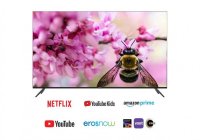 Aiwa A65QUHDX3-GTV 65 Inch (164 cm) Android TV