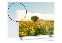 Thomson 24HA2S13CW 24 Inch (59.80 cm) Android TV