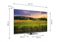 Thomson 50QG5C14 50 Inch (126 cm) Smart TV