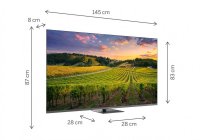 Thomson 65QG5C14 65 Inch (164 cm) Smart TV