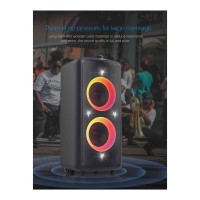 F&D PA300 Bluetooth Speaker