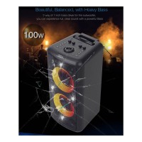 F&D PA300 Bluetooth Speaker