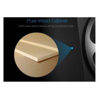 F&D A110 Home Theatre Speaker