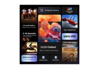Hisense 43Q6QAU 43 Inch (109.22 cm) Smart TV