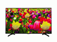 Lloyd L32DP 32 Inch (80 cm) LED TV